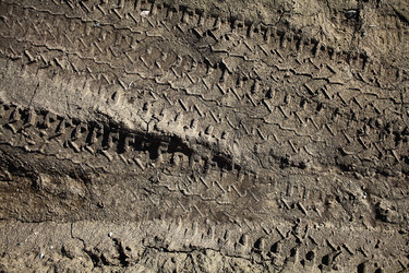 Similar image 10529335