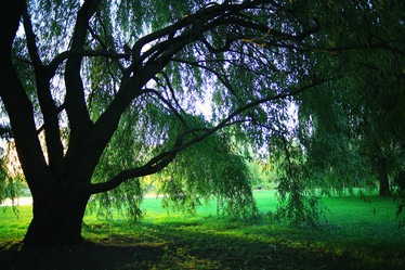 Similar image 10529337