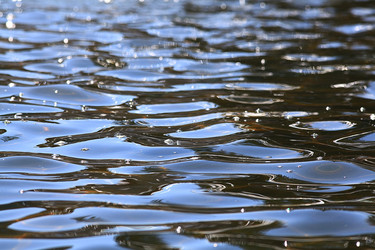 Similar image 10529338