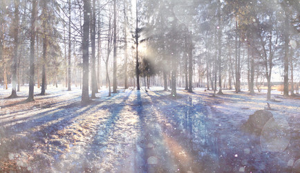 Similar image 10529339