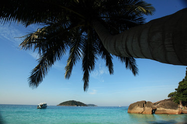 Similar image 10529401