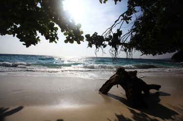 Similar image 10529403