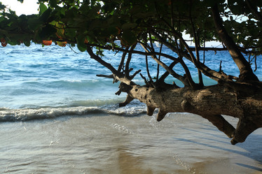 Similar image 10529433