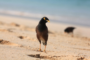 Similar image 10529438