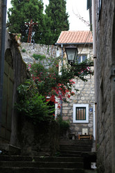 Similar image 10529442