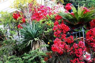 Similar image 10529447