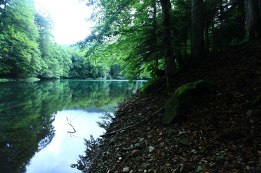 Similar image 10529491