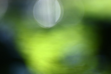 Similar image 10529494