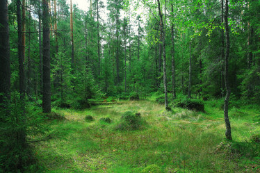 Similar image 10529515