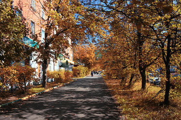 Similar image 10529516