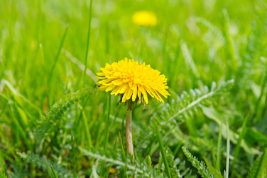 Similar image 10529525