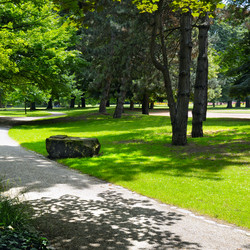 Similar image 10529539