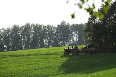 Similar image 10529556