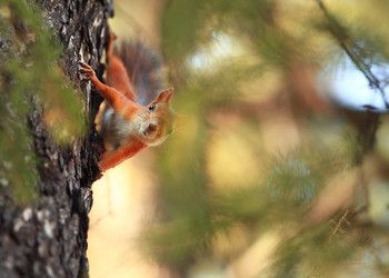 Similar image 10529564