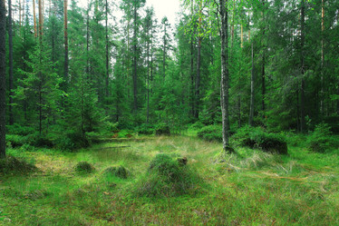 Similar image 10529592