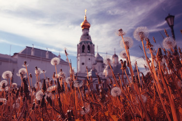 Similar image 10529596