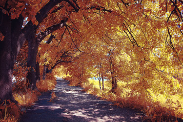 Similar image 10529597