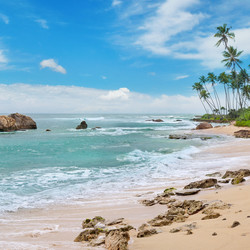 Similar image 10529602