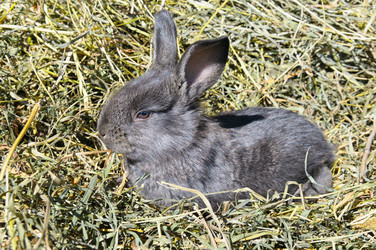 Similar image 10529610