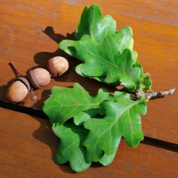 Similar image 10529611