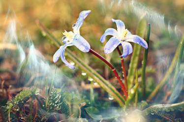 Similar image 10529624