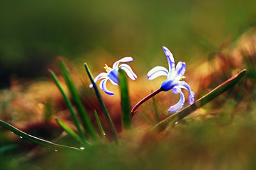 Similar image 10529626