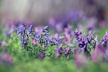 Similar image 10529627