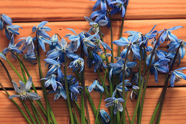 Similar image 10529630