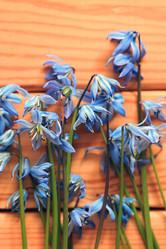 Similar image 10529631