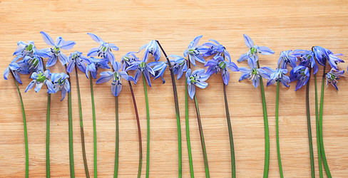 Similar image 10529632