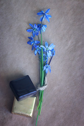 Similar image 10529633