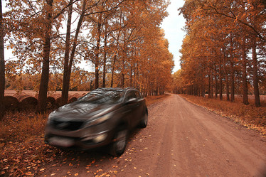 Similar image 10529643