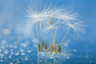 Similar image 10529647