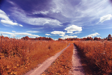 Similar image 10529660