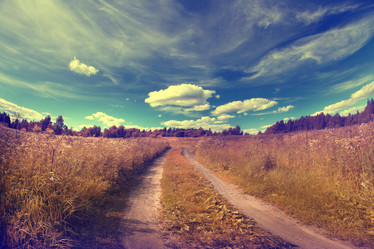 Similar image 10529663