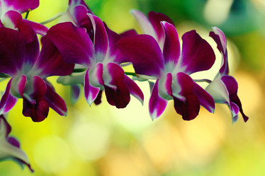 Similar image 10529666