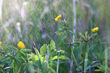 Similar image 10529669