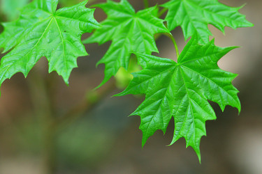 Similar image 10529672