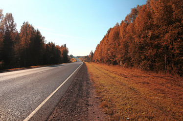 Similar image 10529674