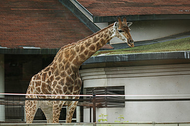 Similar image 10529679