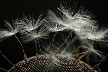 Similar image 10529683