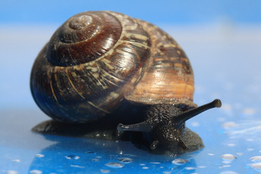 Similar image 10529701