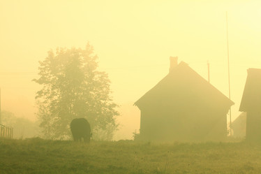 Similar image 10529704