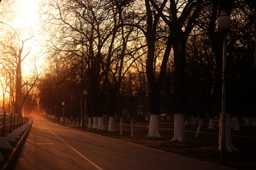 Similar image 10529710