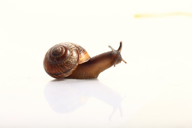 Similar image 10529722