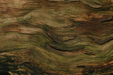 Similar image 10529724