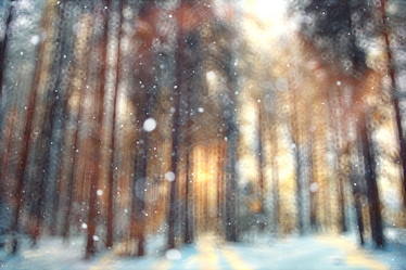 Similar image 10529726