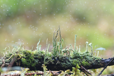 Similar image 10529729