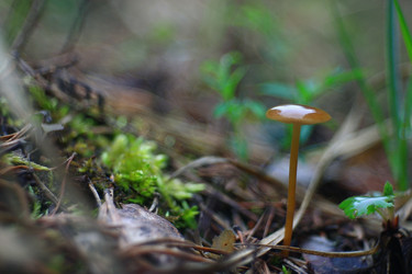 Similar image 10529732