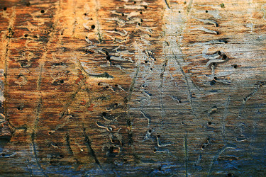 Similar image 10529740